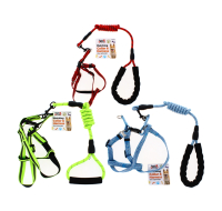 Dog Collar & Harness Asst