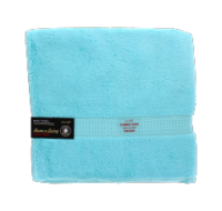 Signature Aqua Blue bath towel in soft cotton