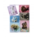 Dog Fridge Magnets 6pk