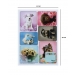 Dog Fridge Magnets 6pk