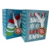 2 PACK ASSORTED CHRISTMAS GIFT BAG