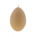 LARGE EGG SHAPE CANDLE