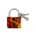 63mm Assorted Design Padlock