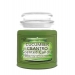 CUCUMBER CILANTRO SCENTED CANDLE 425G