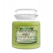 AVOCADO MINT SCENTED CANDLE 425G