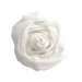 CREPE PAPER WHITE 50x250cm