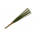 12 Incense Sticks-Green Apple