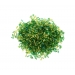 Glass Bugle Beads Going Green