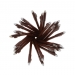 Eye Brow Pencil- Brown 36pk