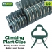 Climbing Plant Clips 10 Pack