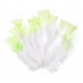 Colour-Tip Feathers White With Mint Green 12 pc