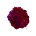 Purple Flower Hair Band with Clip 