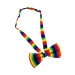Rainbow Bow Tie In Gift Box