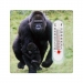 Fridge Magnet Thermometer Assorted Monkey Design