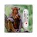 Fridge Magnet Thermometer Assorted Monkey Design