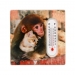 Fridge Magnet Thermometer Assorted Monkey Design