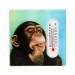 Fridge Magnet Thermometer Assorted Monkey Design