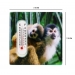 Fridge Magnet Thermometer Assorted Monkey Design