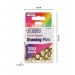 Dome Topped Drawing Pins 300 Pack