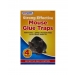 Mouse Glue Traps 4 Trays