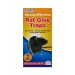 Rat Glue Trap - 2 Trays 