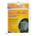 Decoy Wasps Nest