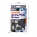 Assorted Black & White Buttons