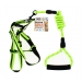 Dog Collar & Harness Asst