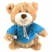 BEARS ON TOUR SINGING BEAR TOY 5 ASSORTED
