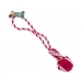 Twisted Rope Dog Toy With Tennis Ball