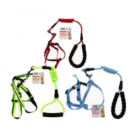 Dog Collar & Harness Asst